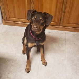 Meet your Posher, Alicia